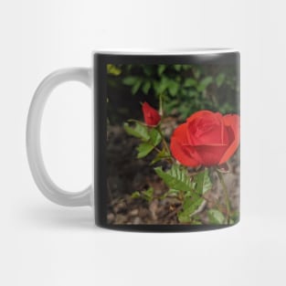 Red Rose and Rose Bud Mug